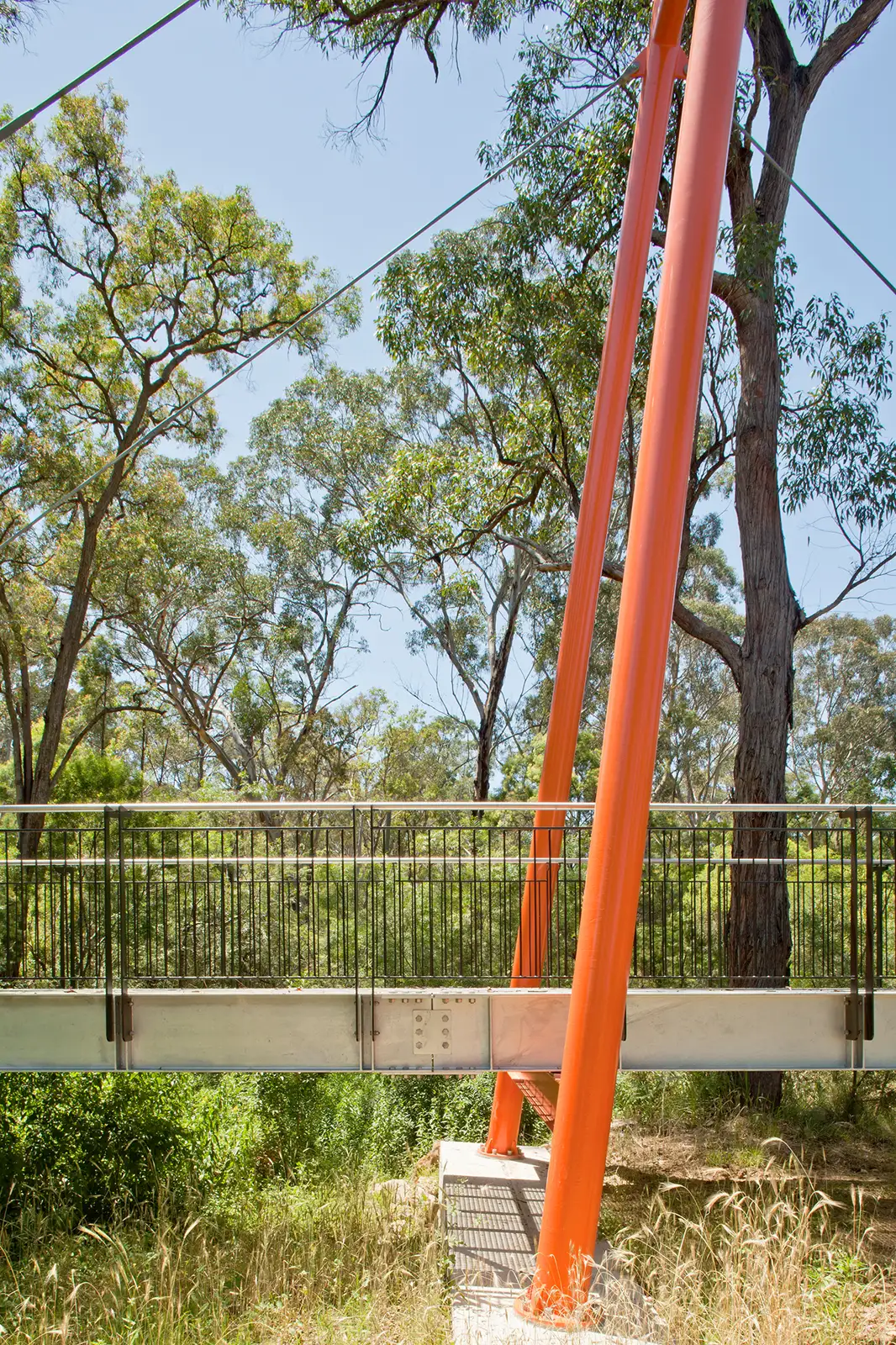 FORGE-Smalls-Creek-White-Gum-009