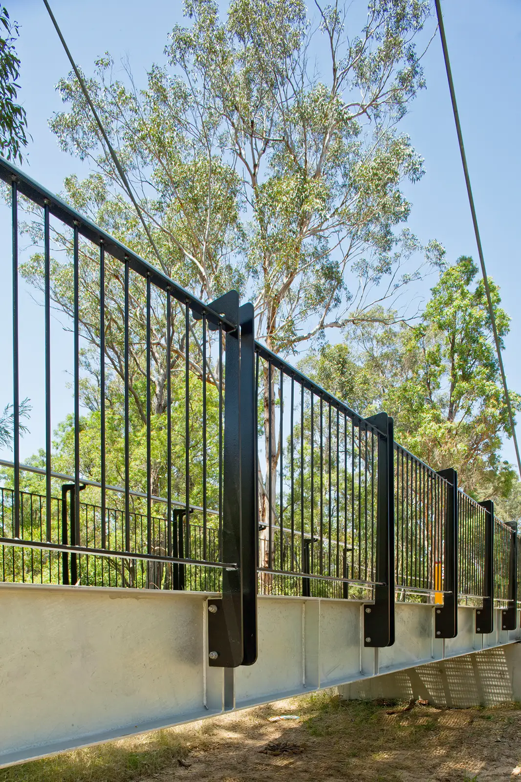 FORGE-Smalls-Creek-White-Gum-010